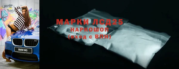 сатива Белокуриха