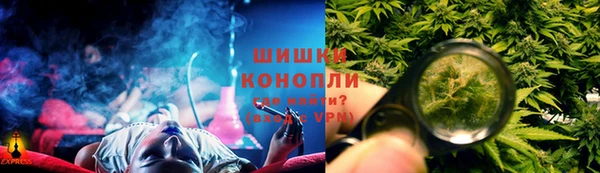 PSILOCYBIN Вязники